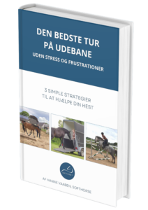 Den bedste tur på udebane ebog