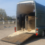 Pony i traileren, trailertræningsforløb